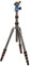 3 Legged Thing Punks Brian Tripod With AirHed Neo best UK price